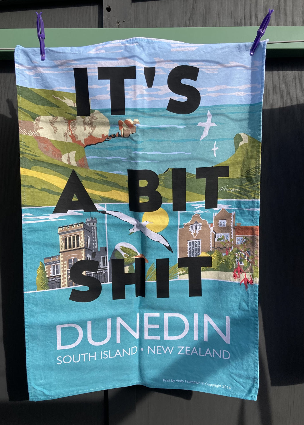 It's a bit shit - Dunedin