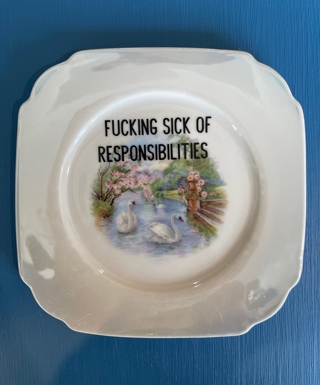 Fucking sick of responsibilities