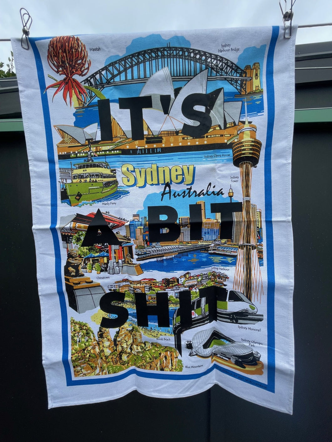 It's a bit shit - Sydney – Loser Plates